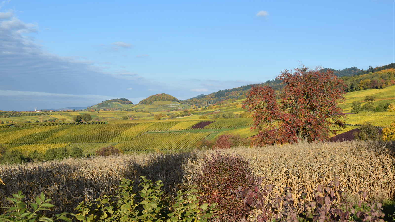 markgraeflerland_herbstlandschaft10