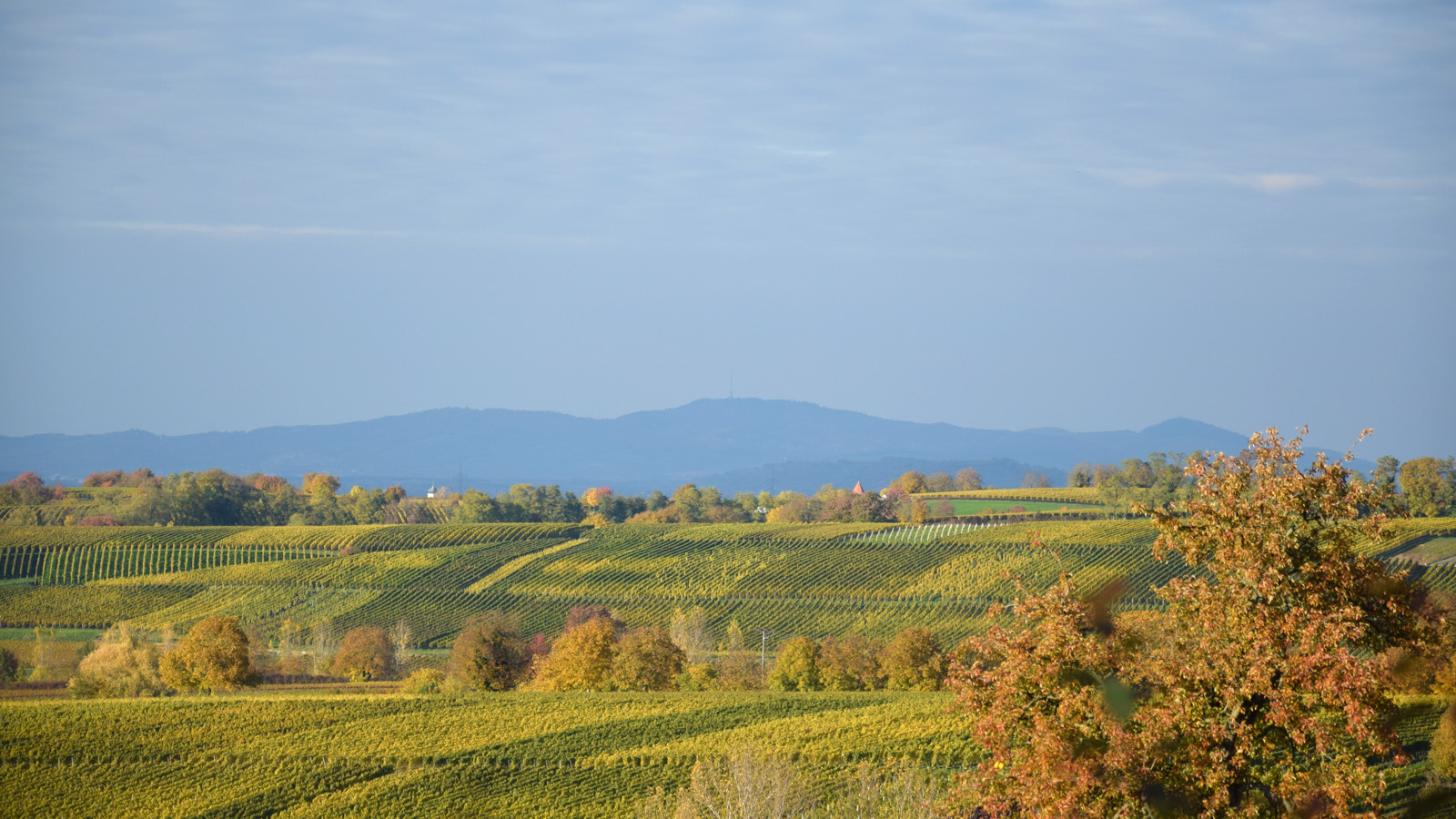 markgraeflerland_herbstlandschaft9