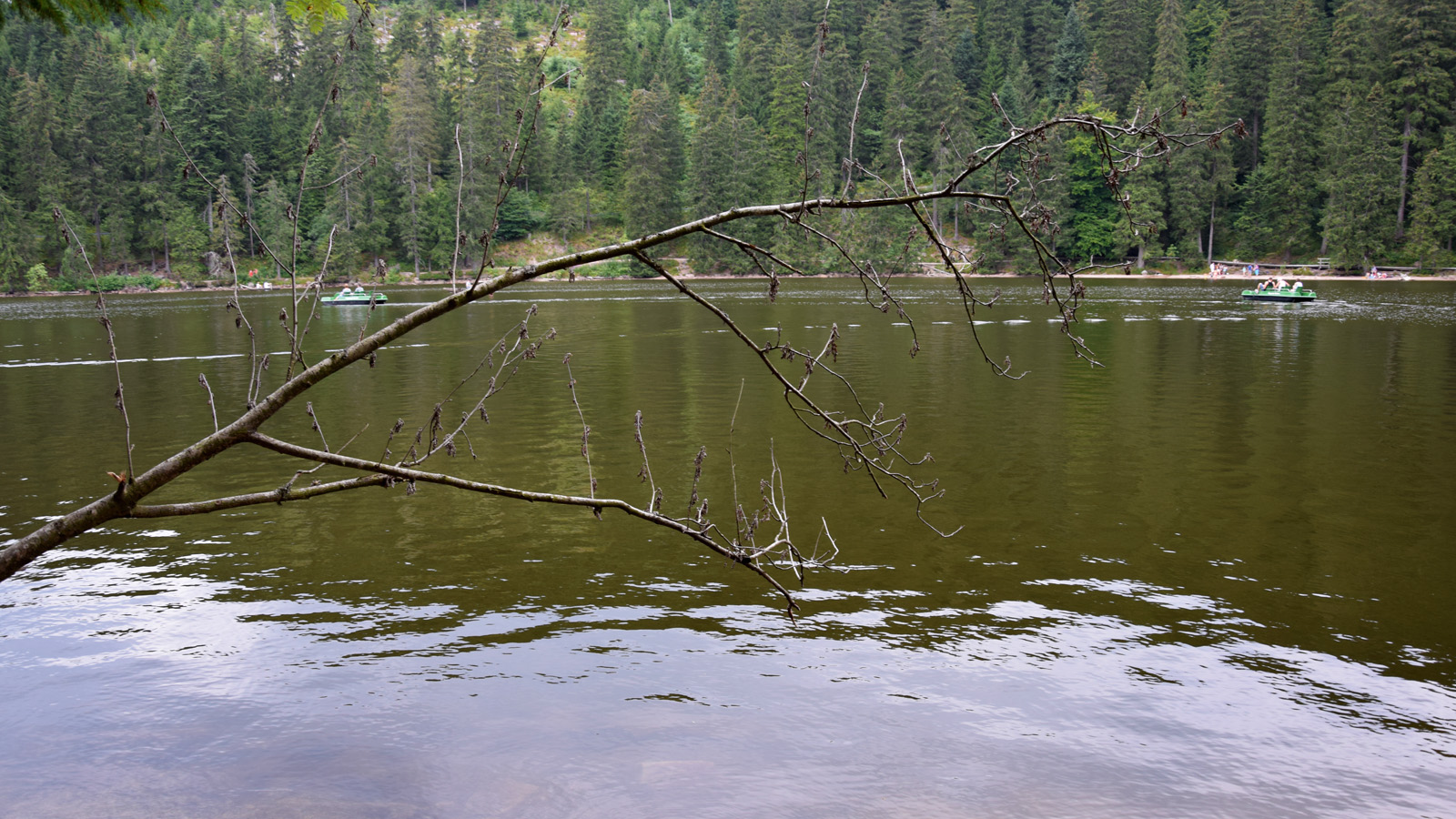 Mummelsee