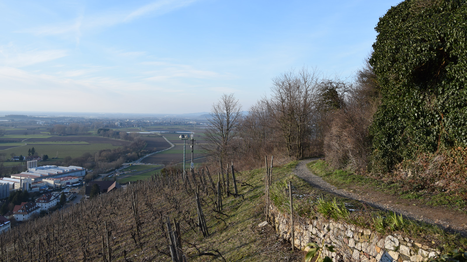 Vorfrühling Blick auf die Rheinebene