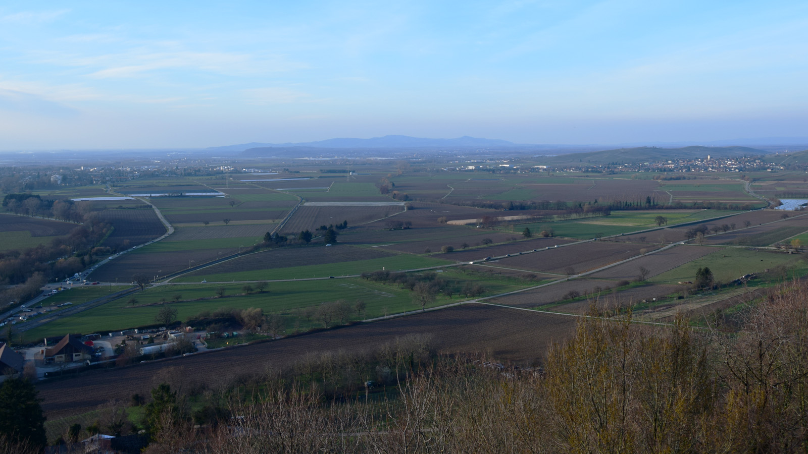 Vorfrühling Blick über die Rheinebene