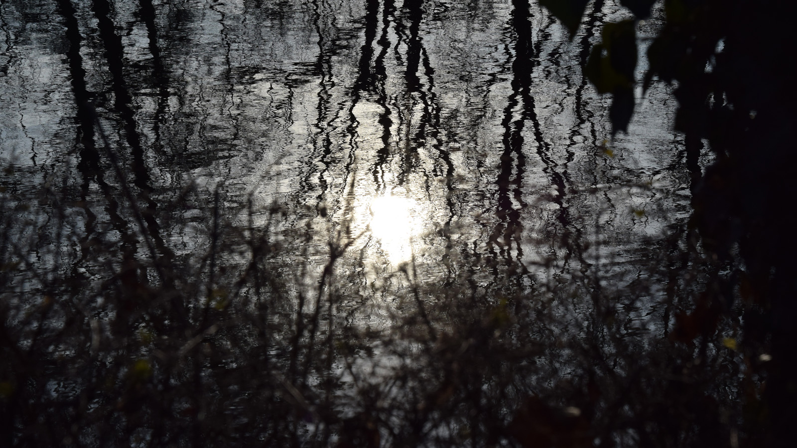 Vorfrühling Sonne im Wasser