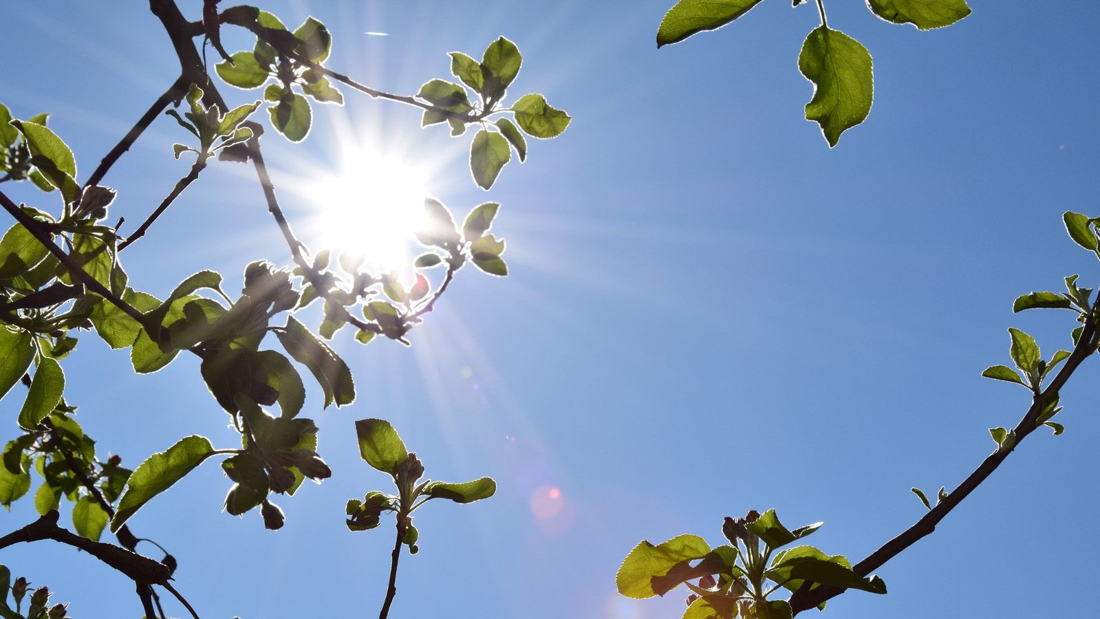 Im Frühling | Kameraeinblicke