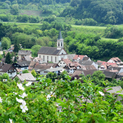 kaiserstuhl_kraeuterpfad6