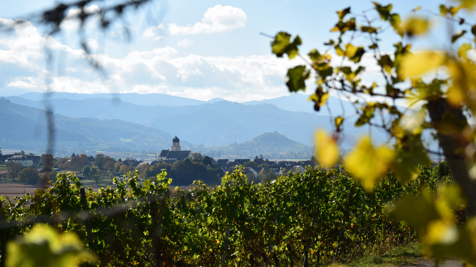 herbst_schneckental