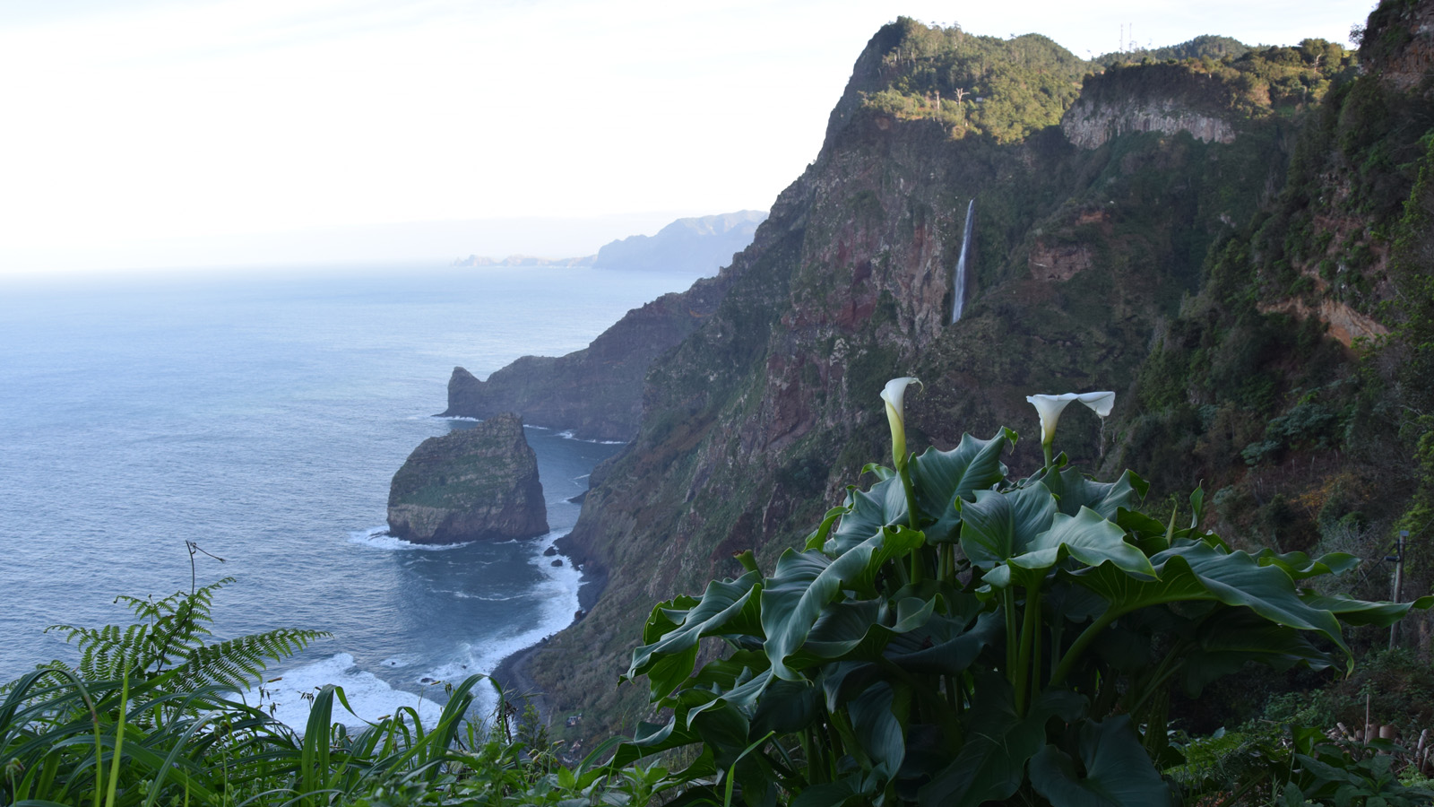 madeira_ausblick1