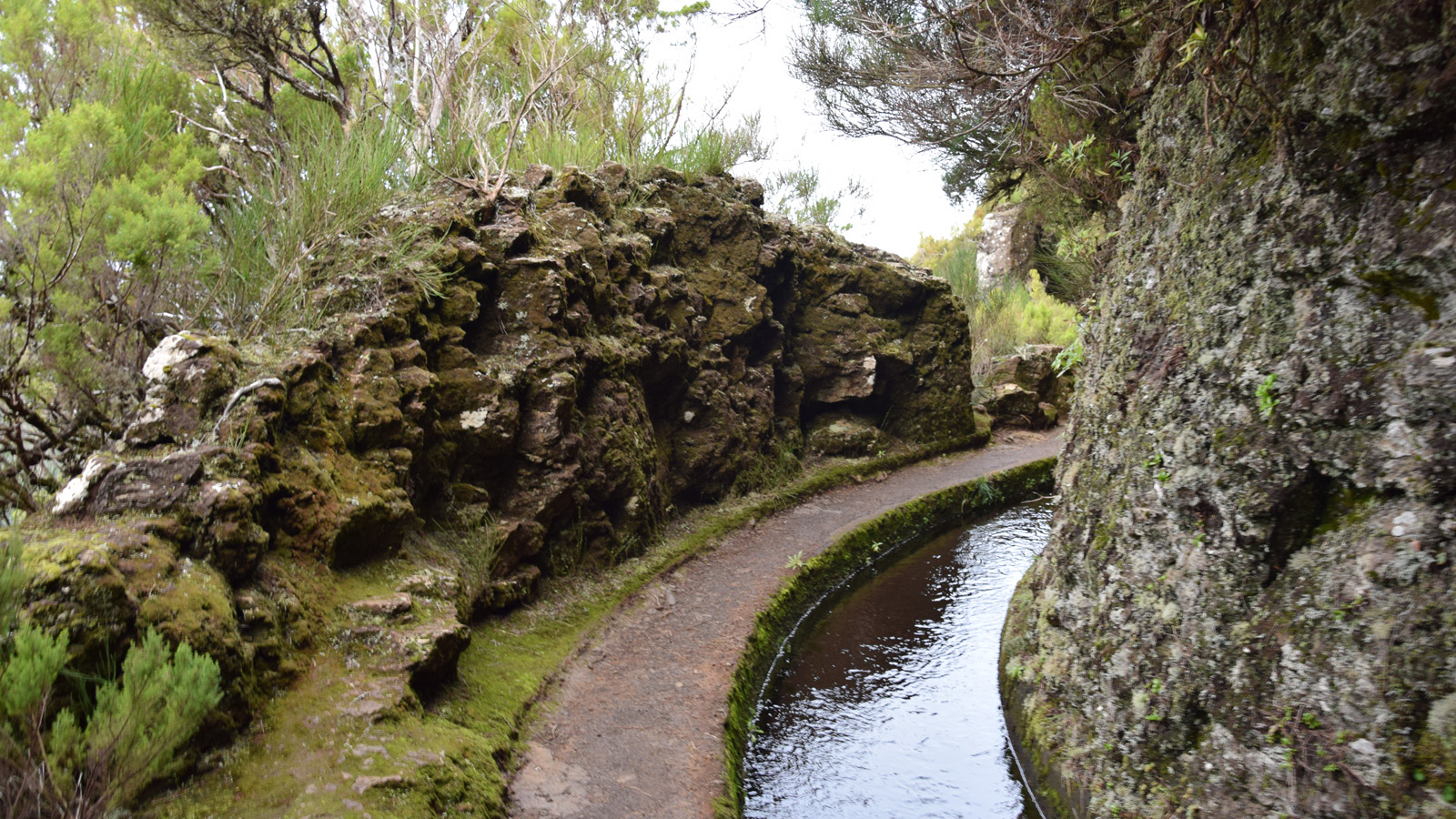 madeira_levada2