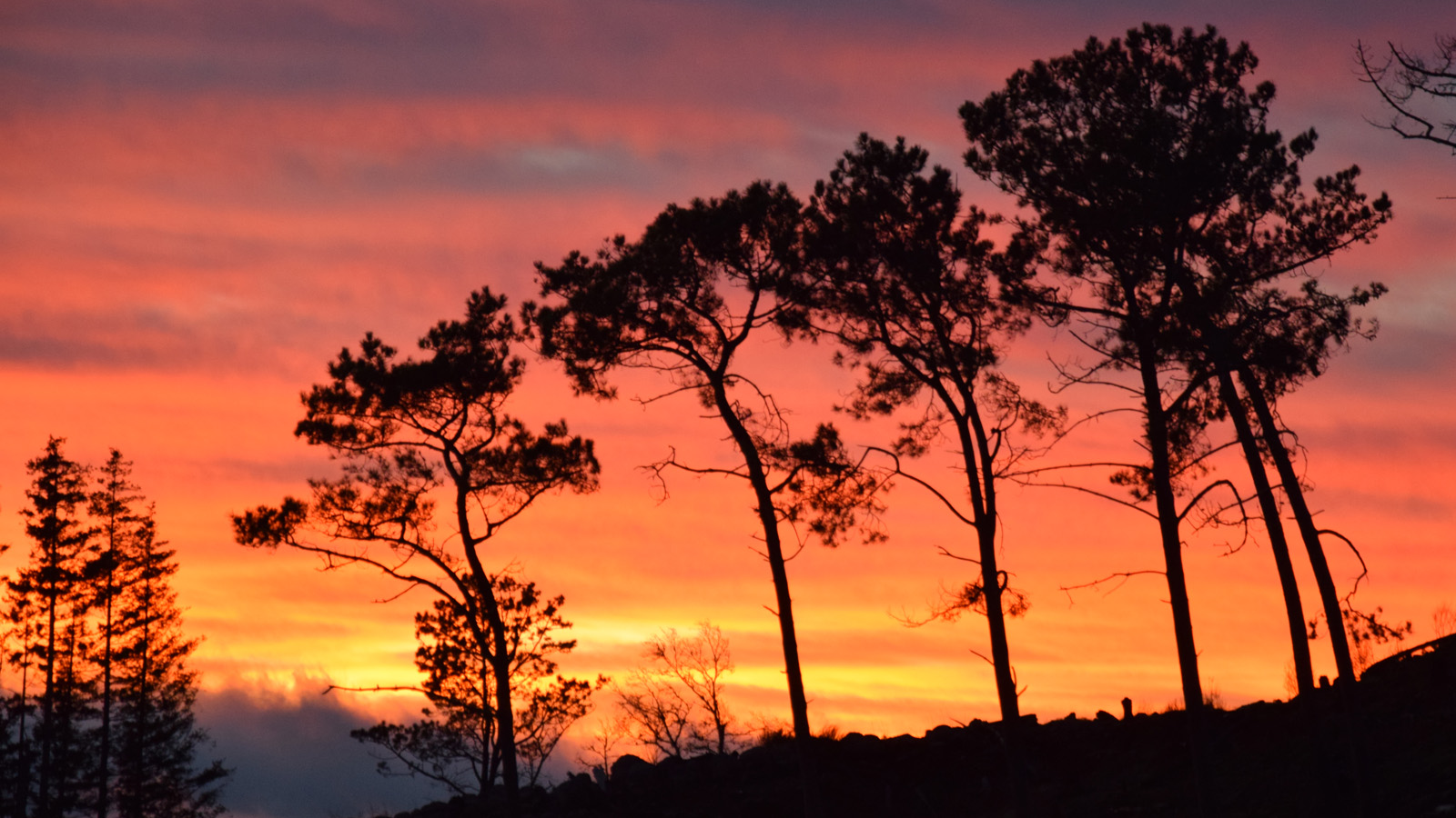 madeira_sonnenuntergang2