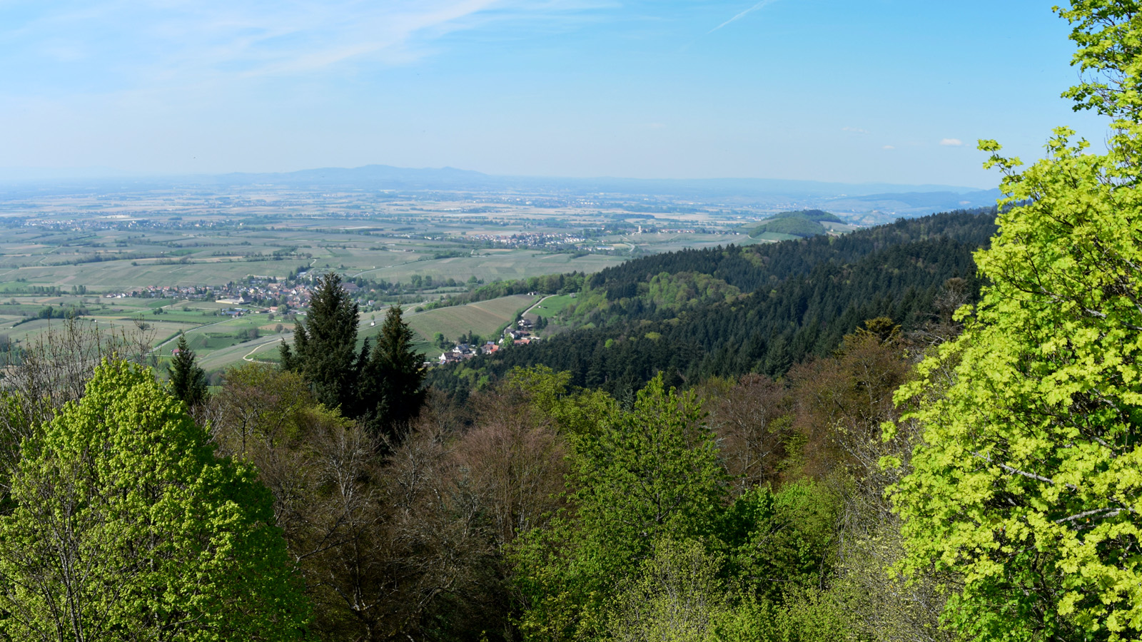 markgraeflerland_blick