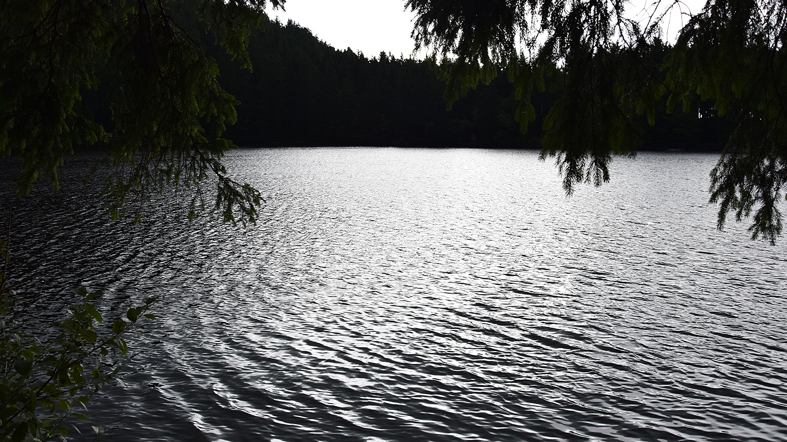 schwarzwald_mummelsee_dunkel