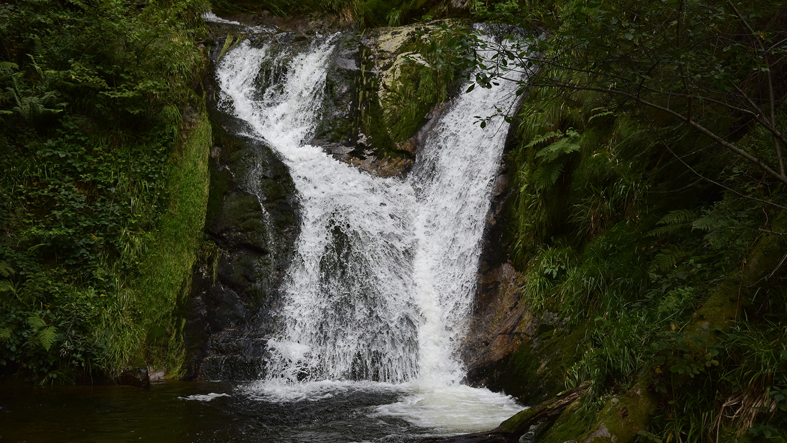 schwarzwald_wasserfall