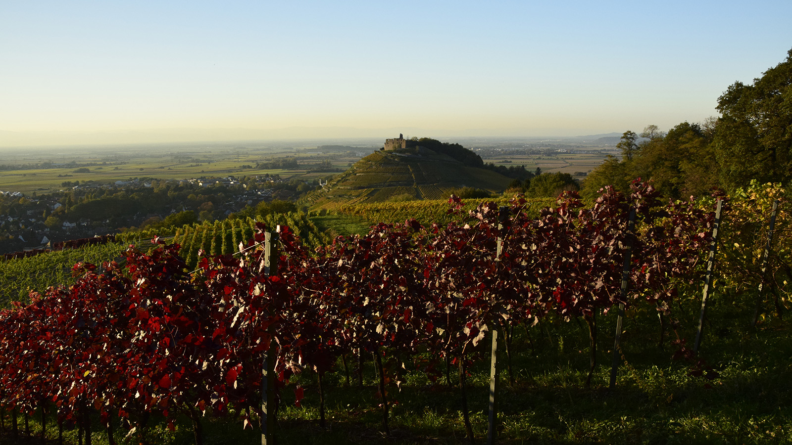 herbst_burgblick